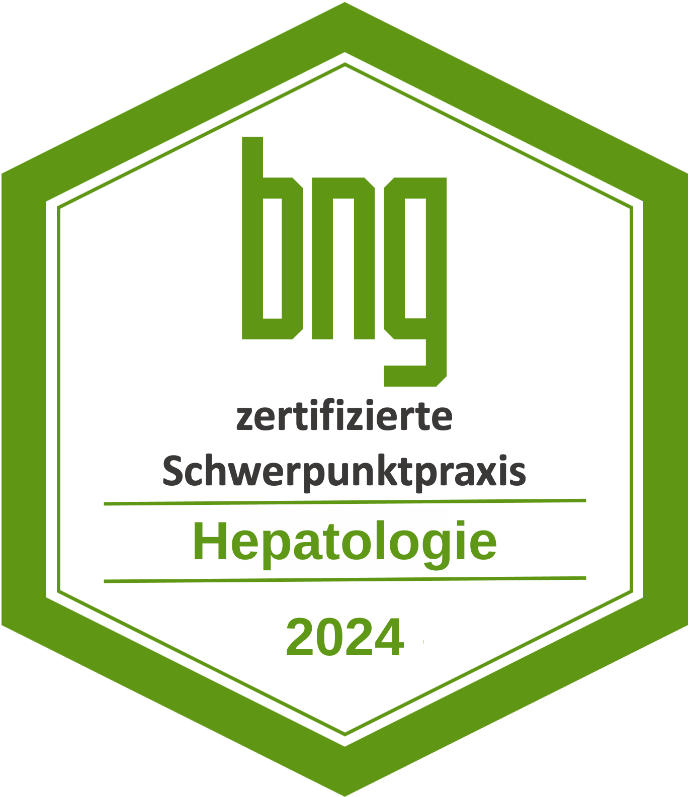BNG Zertifikat Hepatologie  2019
